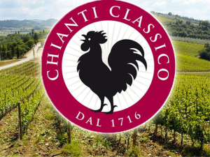 chianti classico (800 x 600 px) 